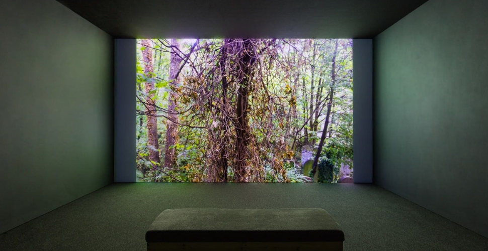 Rana Begum installation images: Rana Begum: Dappled Light, 2022. © Mead Gallery, Warwick Arts Centre. Photographer: Angus Mill